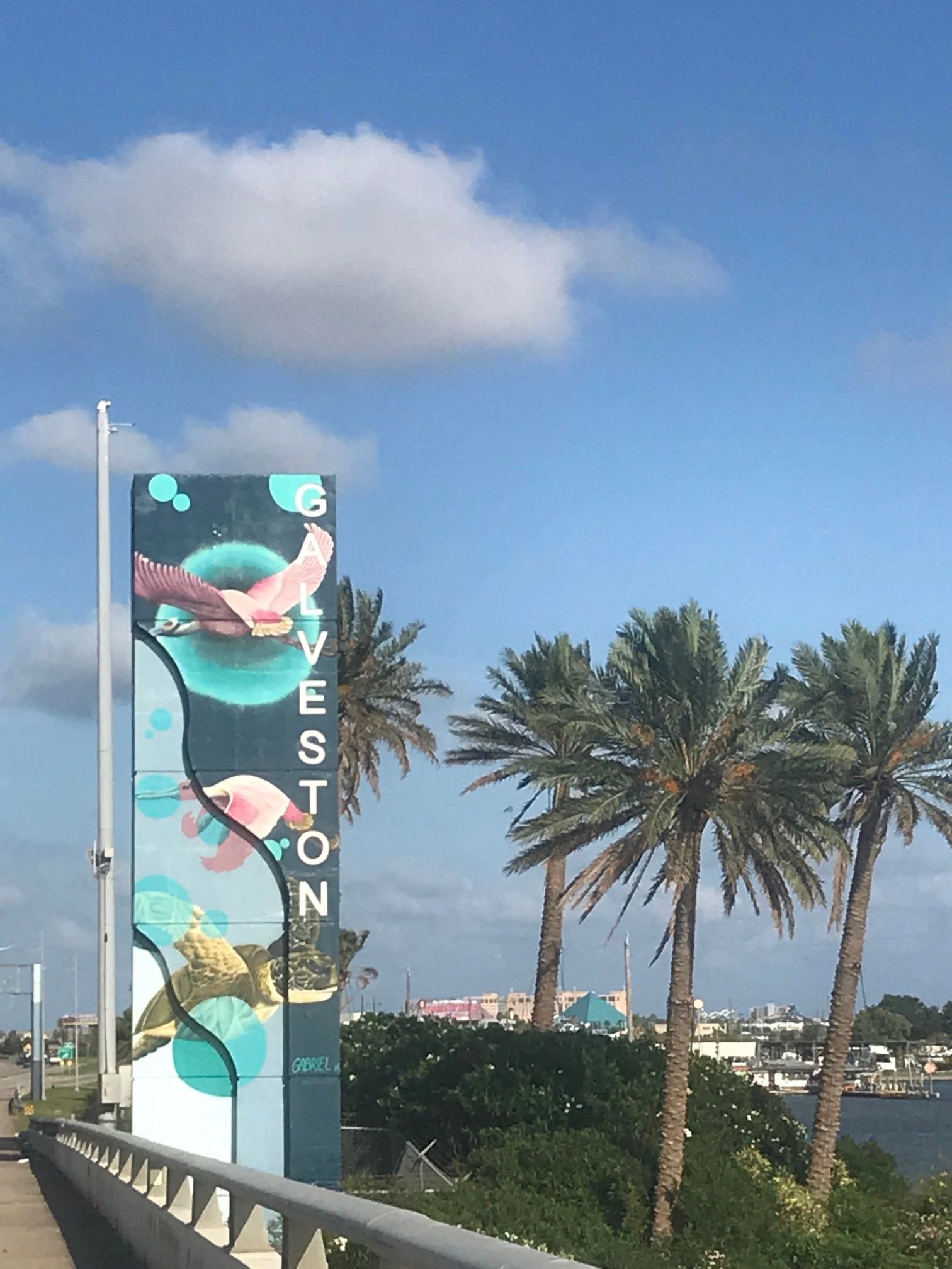 Boat/Jet Ski Rental, Water Activity’s Galveston, Texas