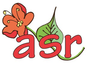 ASR Decorativearts