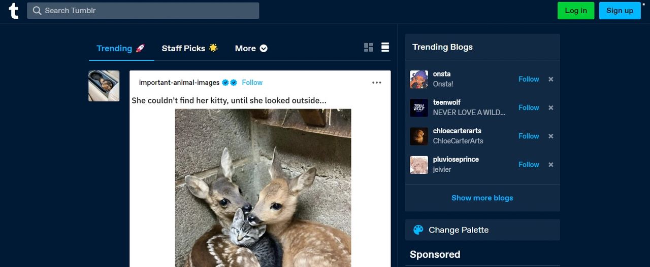 mblr is a microblogging and social networking website that was founded by David Karp in 2007. It initially served as a platform for artists to share their work and engage with their fanbase. However, in 2013, Tumblr shifted its focus towards user-generated content, allowing users to create and share blogs, pictures, and videos.