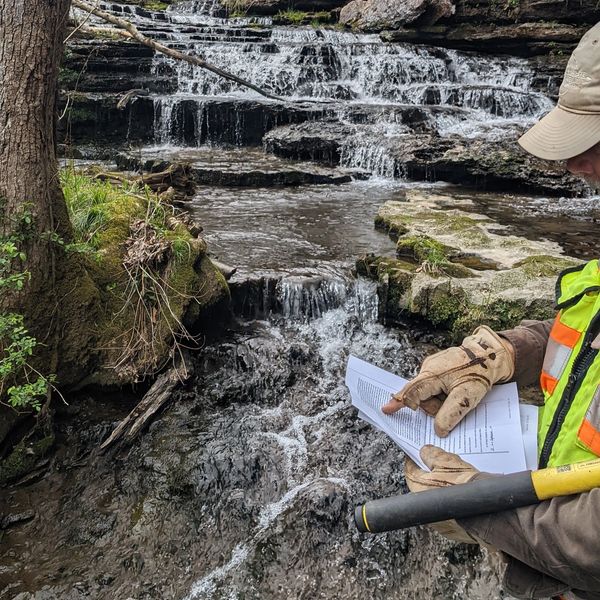 Land Surveyor Associates in Survey & Mapping