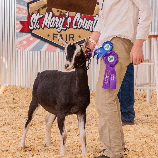 Photo courtesy of Blue Moon Photo Studios