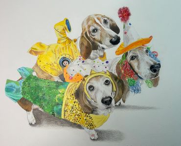 Three basset hounds in Halloween costumes