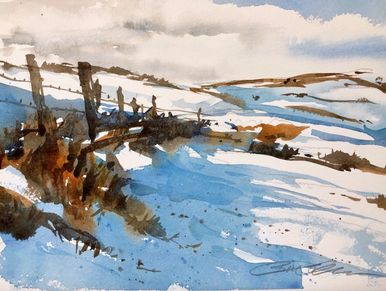 Basics of Watercolors for Adults and Teens East Cork Art Course for 4 weeks  Tickets, Wed 17 Jan 2024 at 18:00