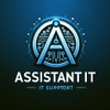 Assistant IT