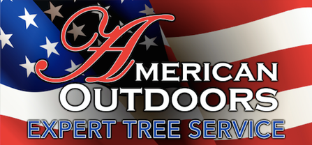 American Outdoors Expert Tree Service