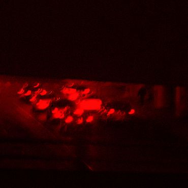 Blurry red lights in a dark environment.