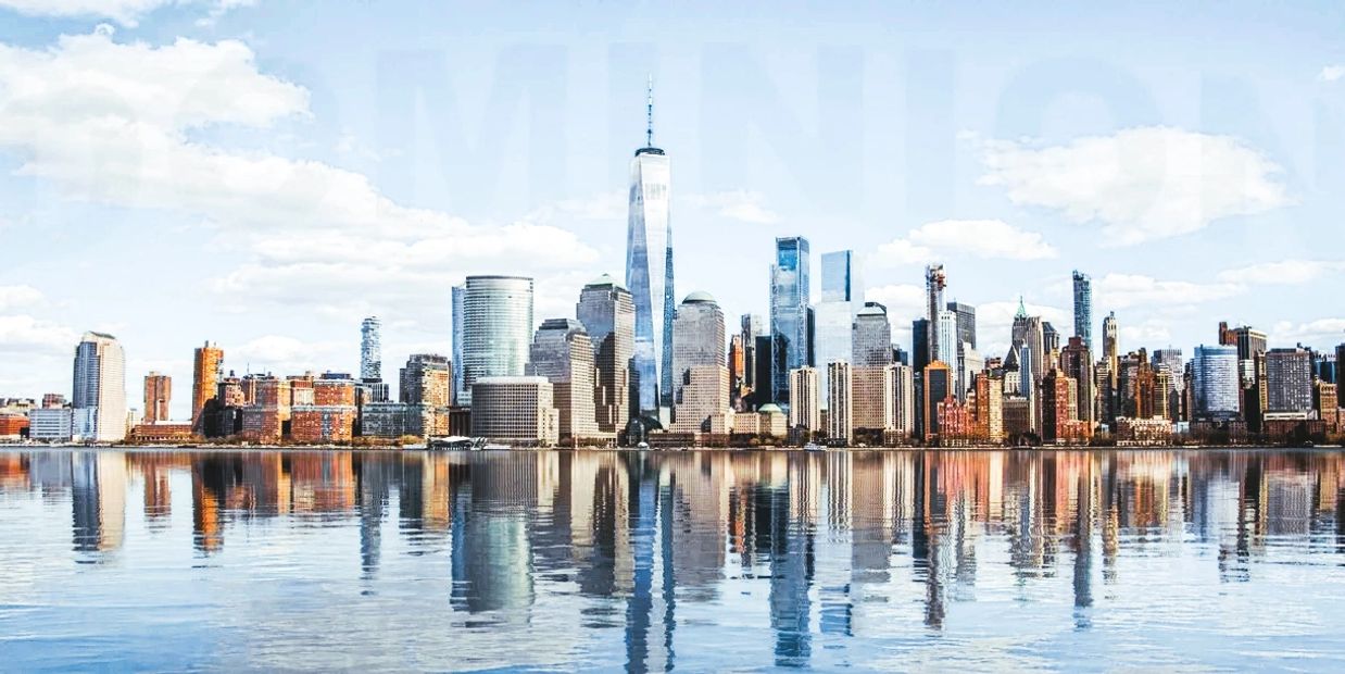 DOMINION EXPEDITING - RICCARDO CERVINI - NYC BUILDING PERMIT EXPEDITER
