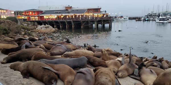 Mark D. Harris Salinas, California CA
831 CPA Tax Preparation Certified Public Accountant Tax Prep J