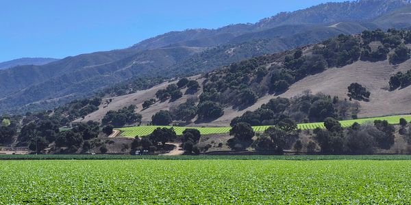 John Steinbeck's Salinas Valley, California.