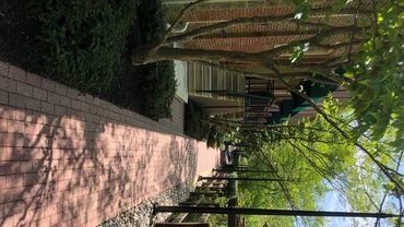 Bucks County landscaping services