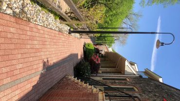 tree removal Bucks County PA