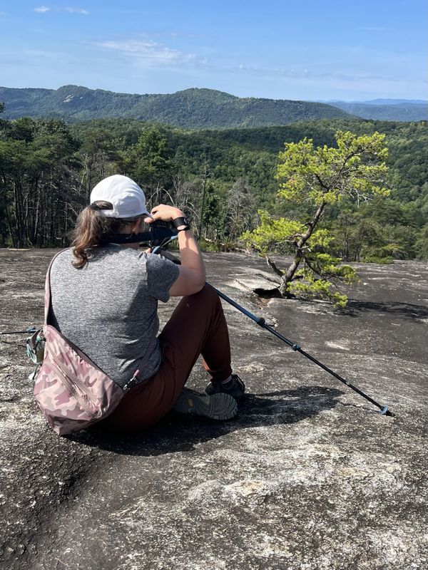 Person sitting on a rocky surface hiking with a walking stick, overlooking a forested mountainous landscape.