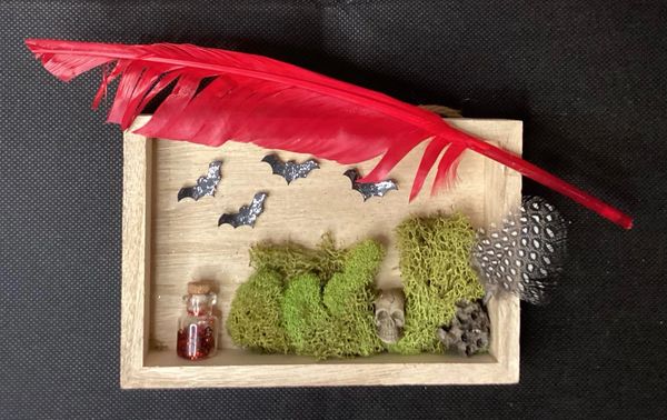 Small shadow box with red feather, spotted black and white feather, 4 miniature bats mossy skull red 