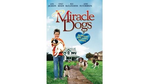 Miracle Dogs