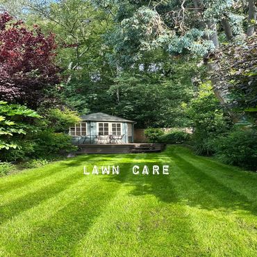 Lawn care