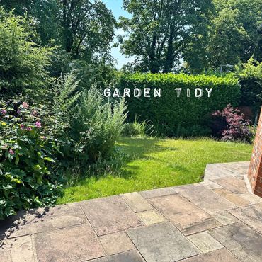 Garden tidy, hedges, bushes, weed, borders, plants, 
