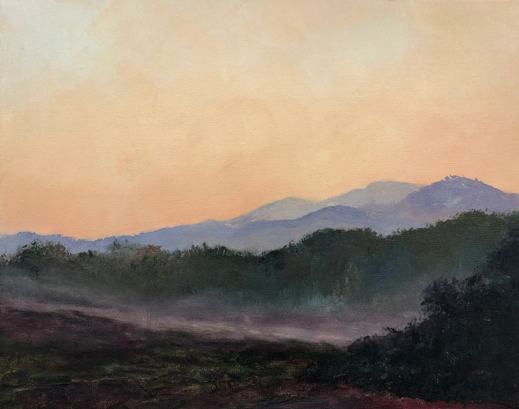 Morning Light in NC
16" x 20" x 1.5"
acrylic on canvas
early morning pale orange light with lifting 