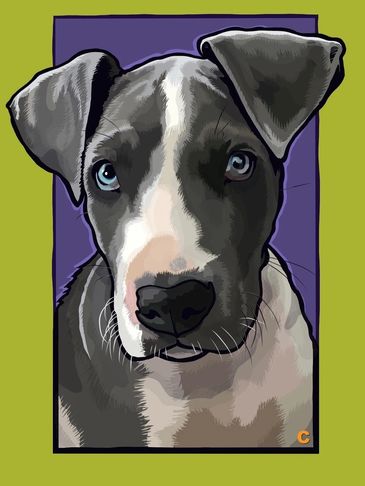 Illustration of a gray and white dog with blue eyes.