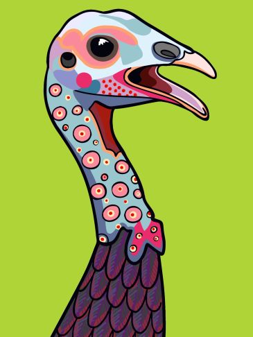 Colorful stylized turkey head against a green background.