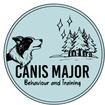 Canis Major Behaviour and Training