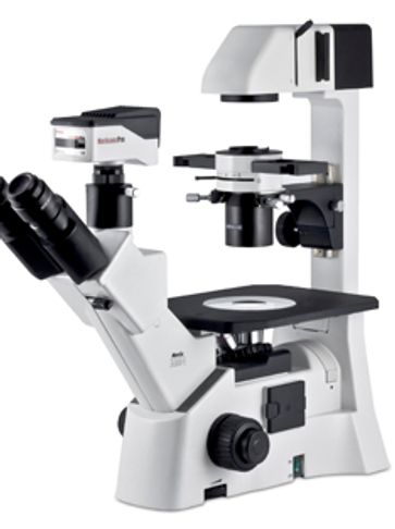 Motic AE31E