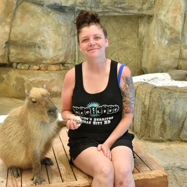 A woman holding hands with a capybara sitting on a wooden platform.