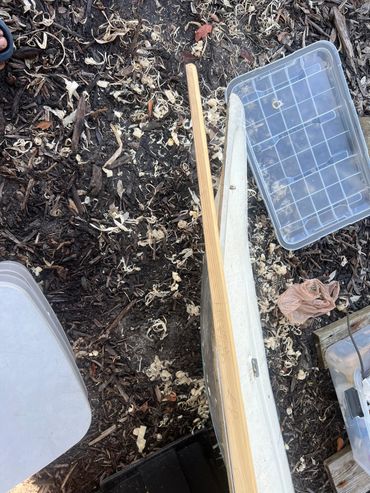 Wood shavings scattered over the ground with plastic containers.