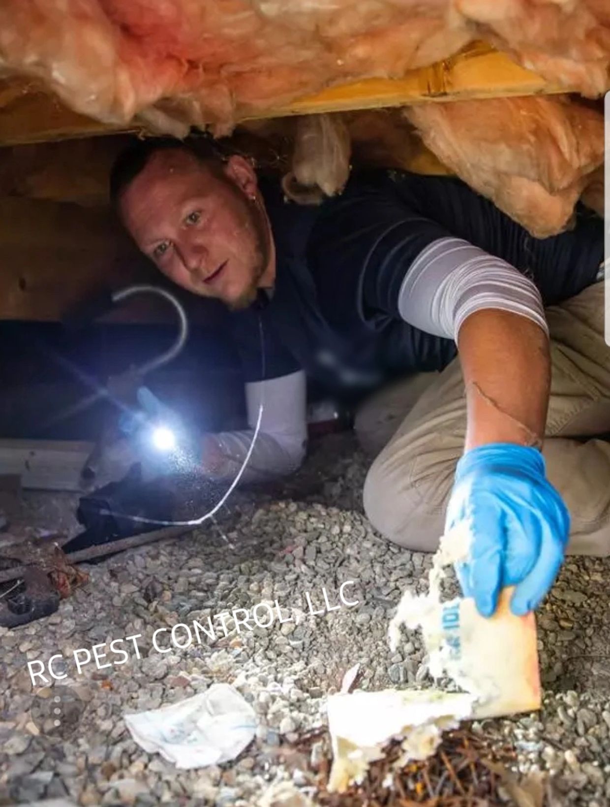 RC Pest Control Lynn Ma