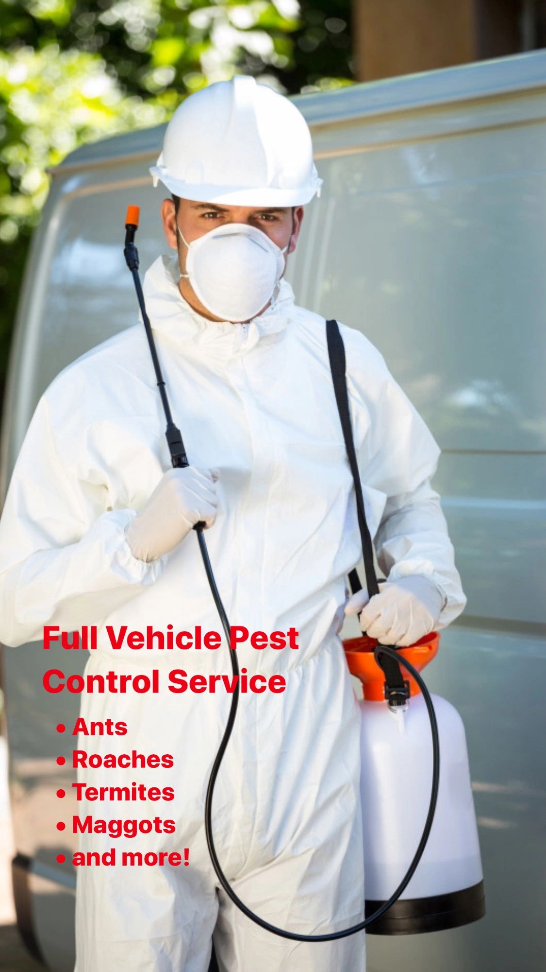 Vehicle Pest Control