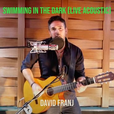 David Franj performing live acoustic guitar and vocals.