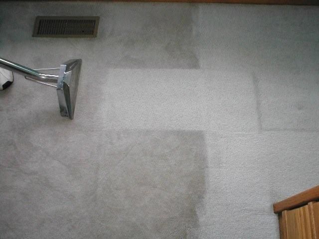 rental house carpet cleaning image
