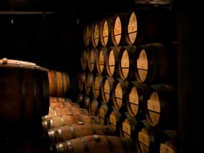 Rows of wooden barrels stacked in a dim cellar.