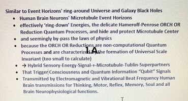 Human Brain Neuron Microtubules 'Ring Down' Multimodal Sensory Signals to Scale Invariant Signals  