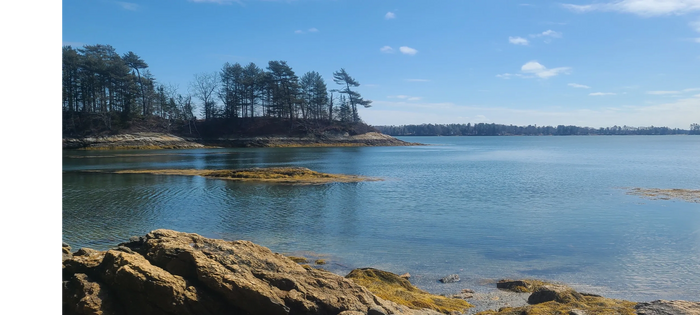 Shore at Wolf's Neck State Park