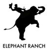 Desert Micro organic microgreens are available at Elephant Ranch grocery store.