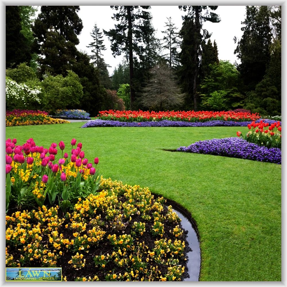 Pebble Turf Láwn PrimeBILT CAD Constructora OASÍS PróTURF Turf Túrf TúrfTech Póóls Landscaping Chéss