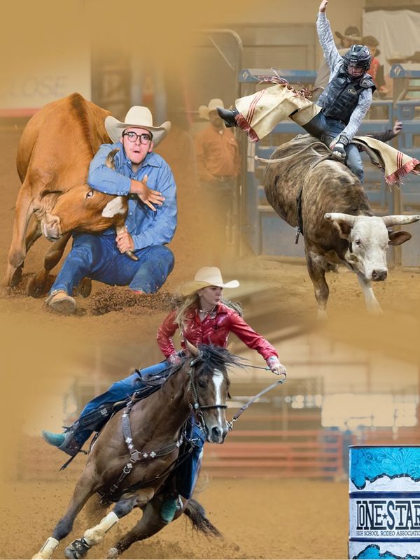 Three rodeo scenes showing bull riding, steer wrestling, and barrel racing.