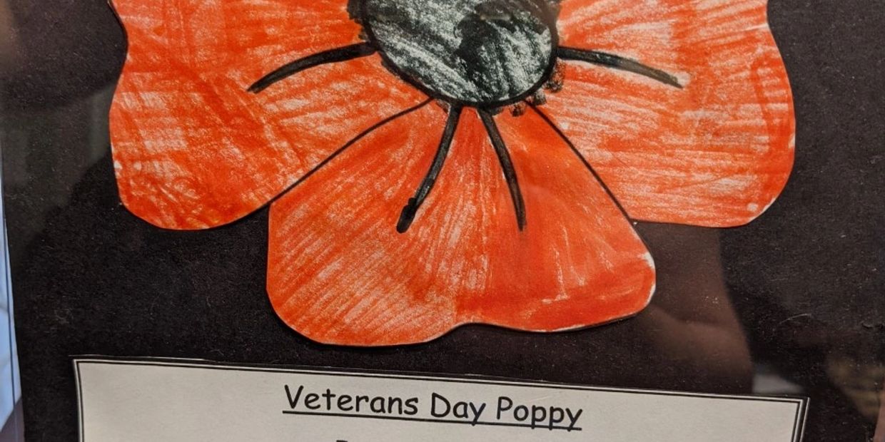 Poppies for Remembrance - The Joseph Group