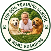 Top Dog Training School & Home Boarding Ltd
