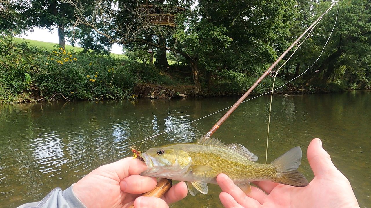 Fly Fishing for Ozark Smallmouth: Small Streamers on Small Creeks
