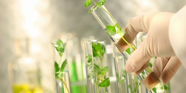 Energy Transition consultants, Biofuels consultants, LPG consultants, LPG feasibility studies