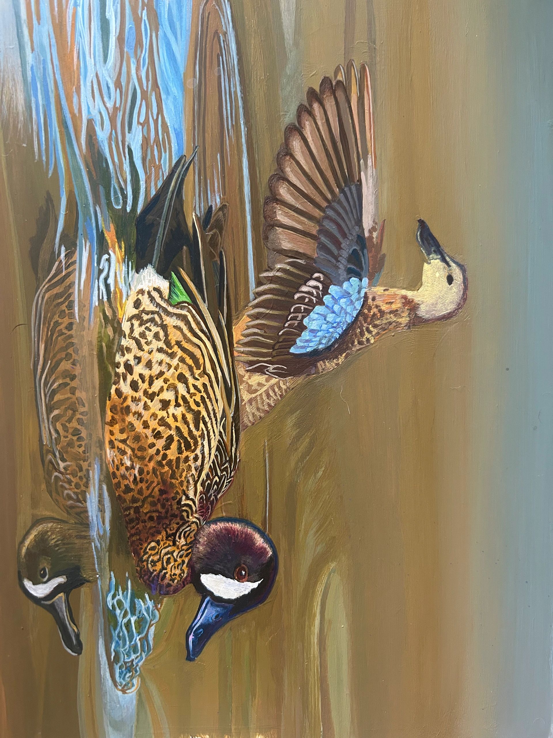 Current work in progress!! Two blue winged teals!
