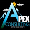 The Apex Consulting Organization