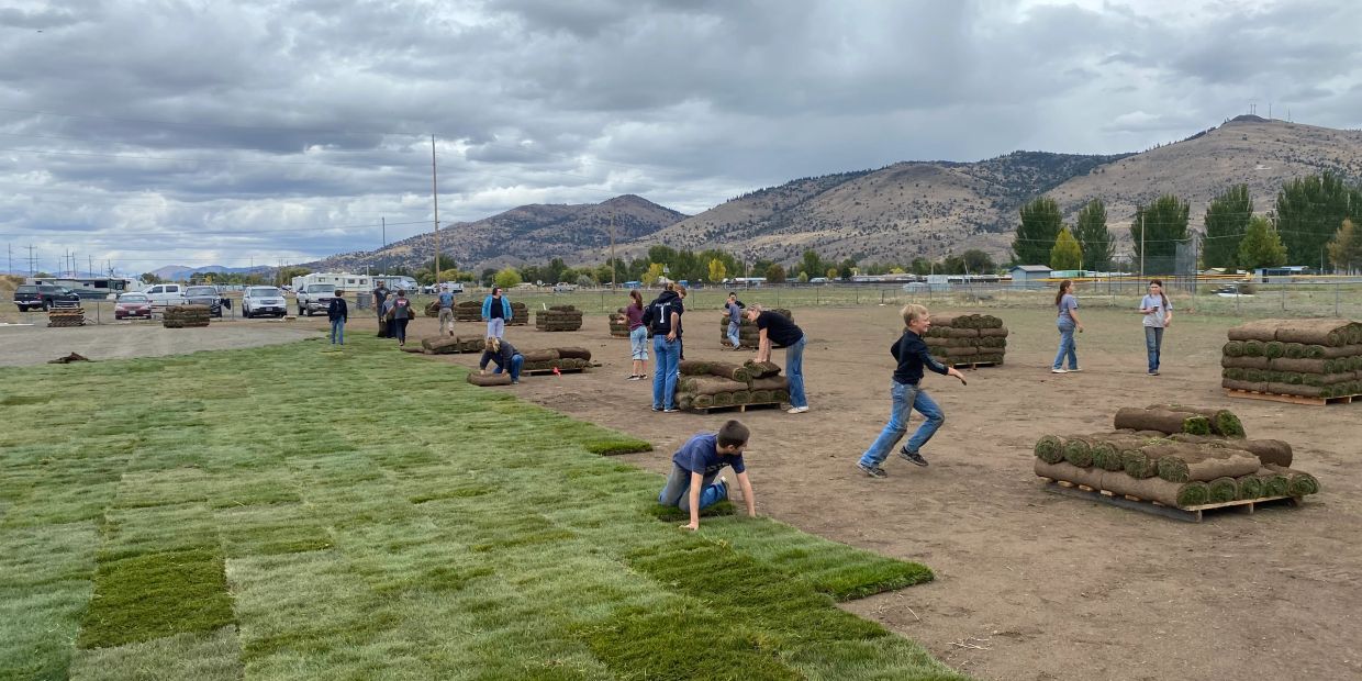 People laying sod patches on a field under cloudy sky.