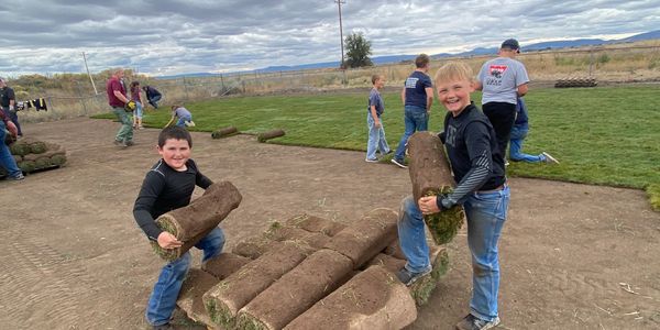 Boys carrying rolls of sod outdoors.
