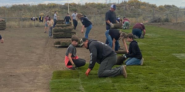 People laying sod to install fresh grass.