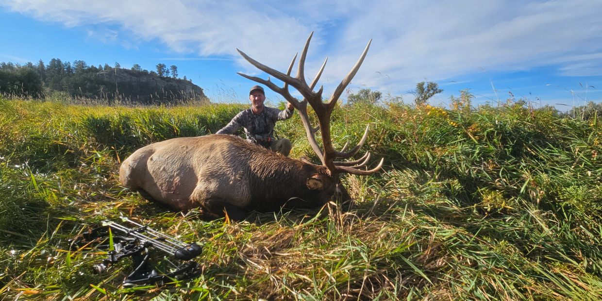 Hunter posing with a large elk and a bow in the grass.