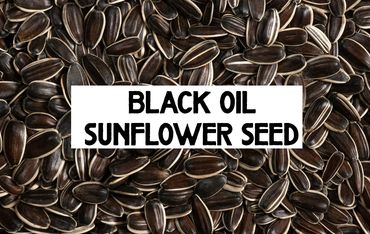 Close-up of black oil sunflower seeds with a label in the center.