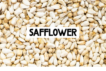 Close-up of white safflower seeds with a label.