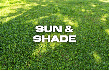 Green grass with sunlit and shaded areas creating natural contrast.